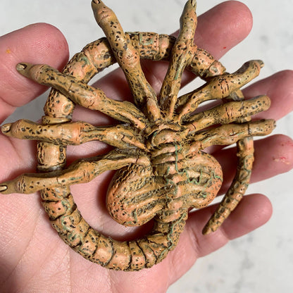 Facehugger